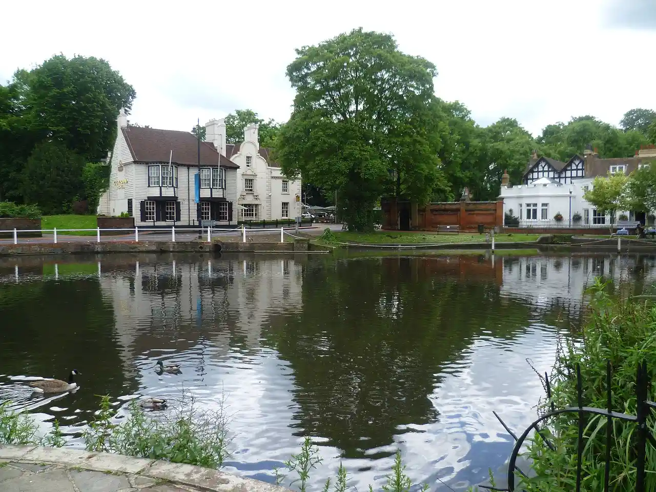 Carshalton Ponds in the London Borough of Sutton